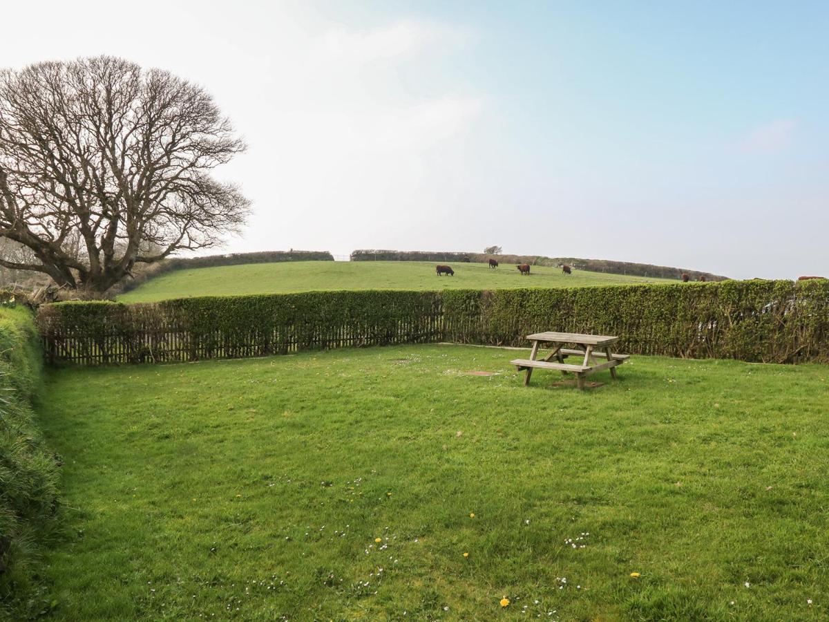 Home Farm Cottage Boscastle Buitenkant foto