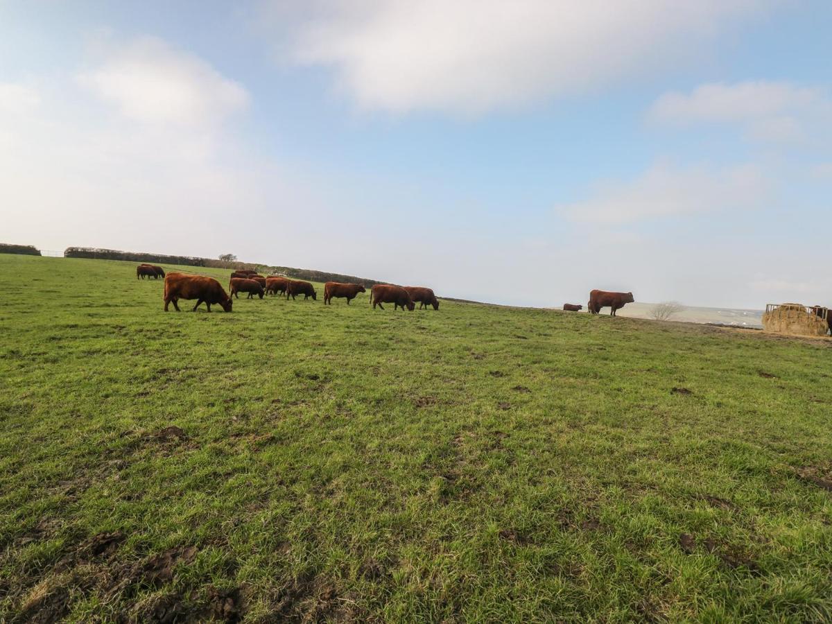 Home Farm Cottage Boscastle Buitenkant foto